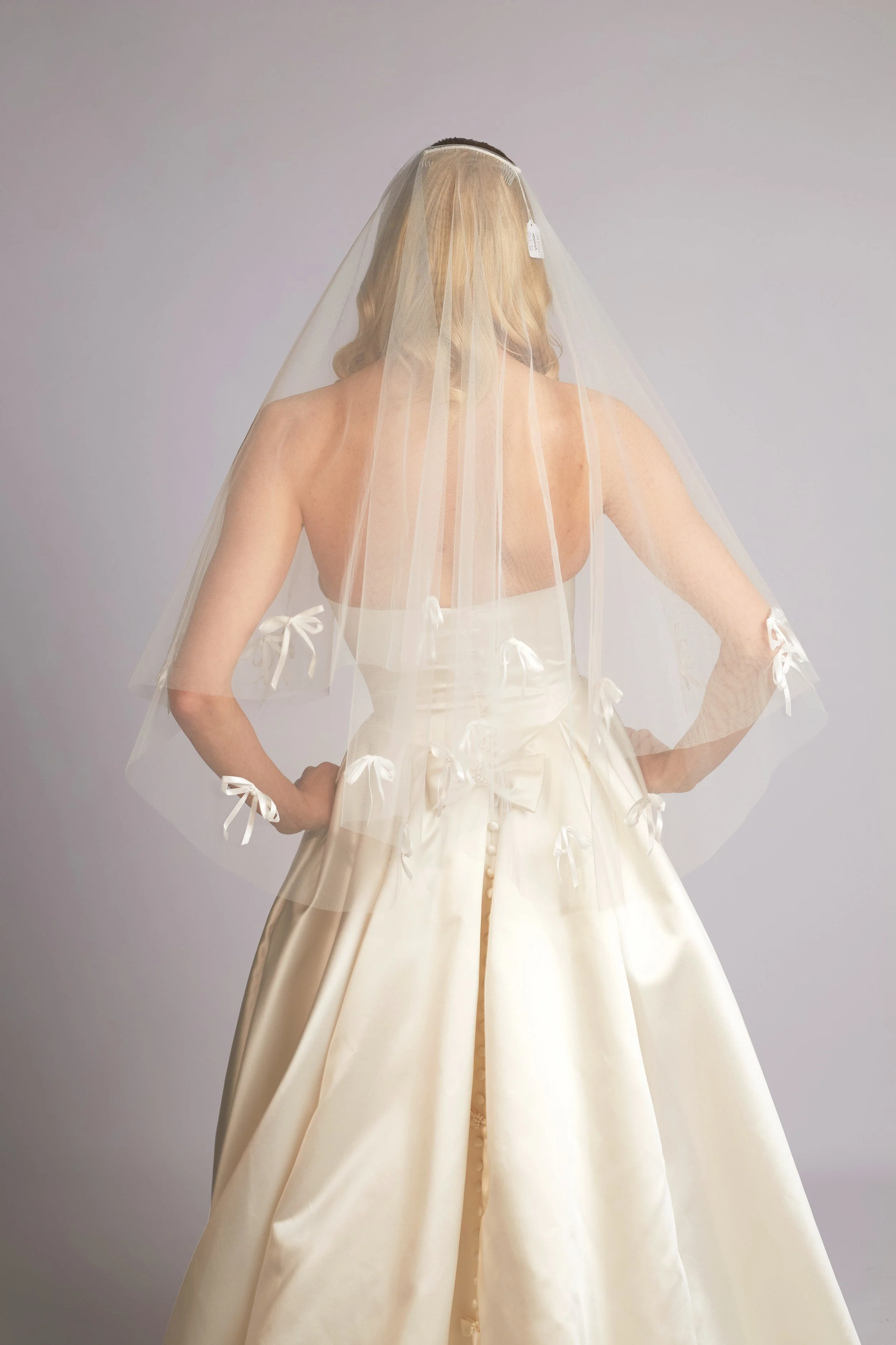 Back view of a woman wearing a wedding dress and veil.