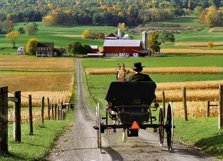 Philly Day Trip:  A Perfect Fall Day Trip to Lancaster County, From Someone Who Grew Up There