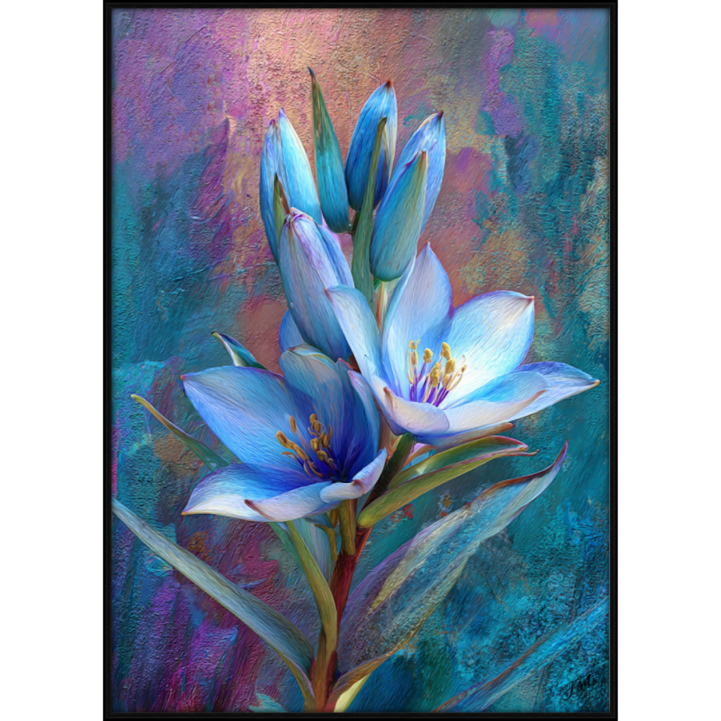 Blue Puya A2 Black Grain Float Frame 108FO.png