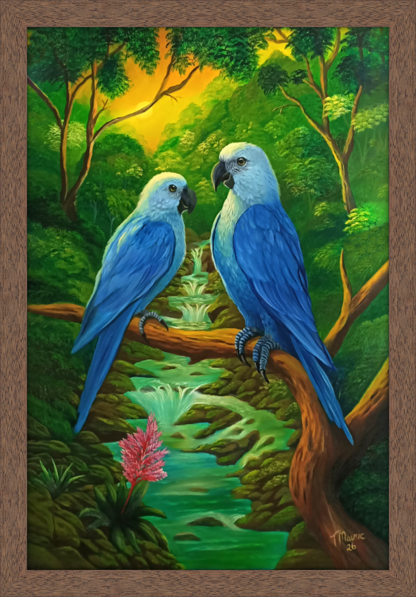 I'm the Boss Blue Parrots Walnut Frame 232TB 40x60 cm.png