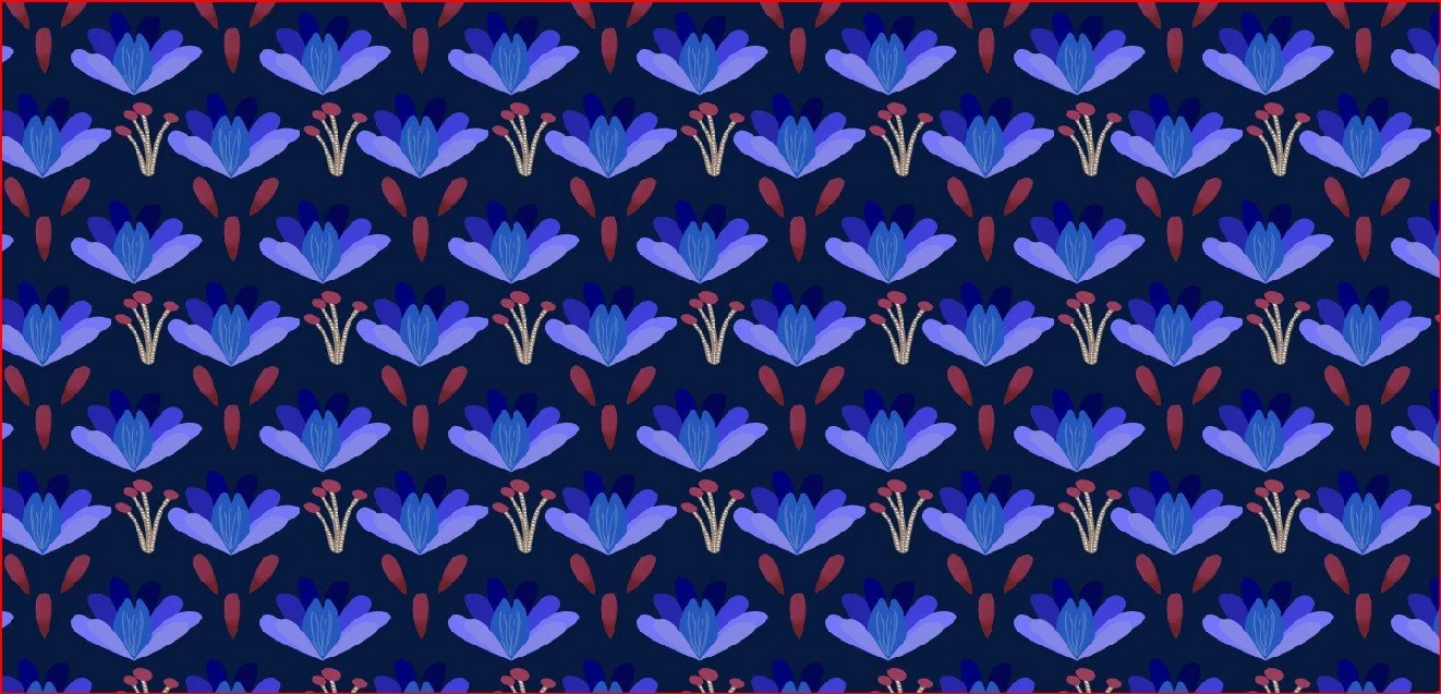 image display only of a pattern review