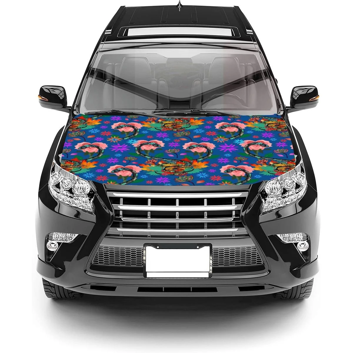 car hood.png