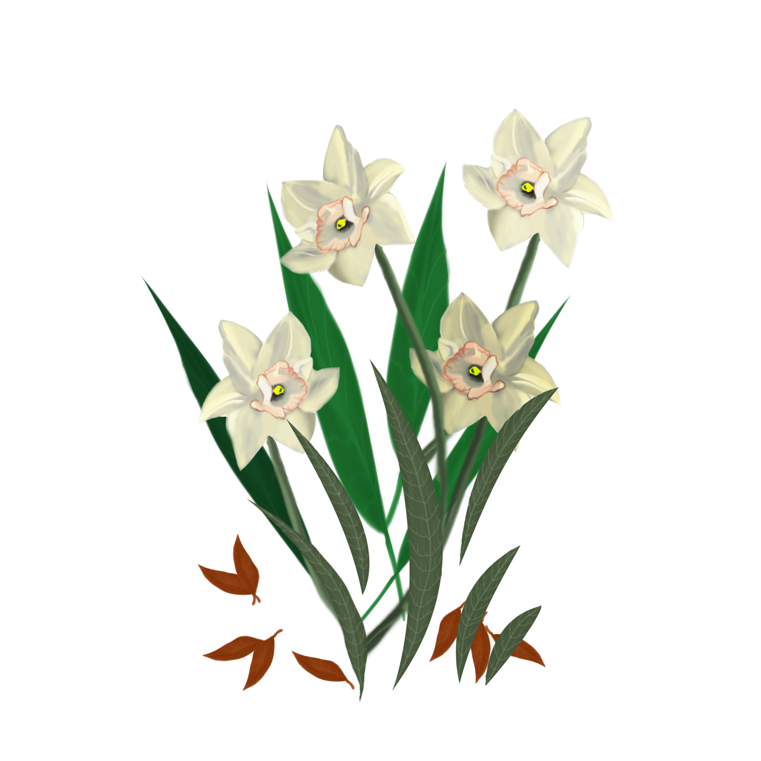 hand drawn daffodils motifs