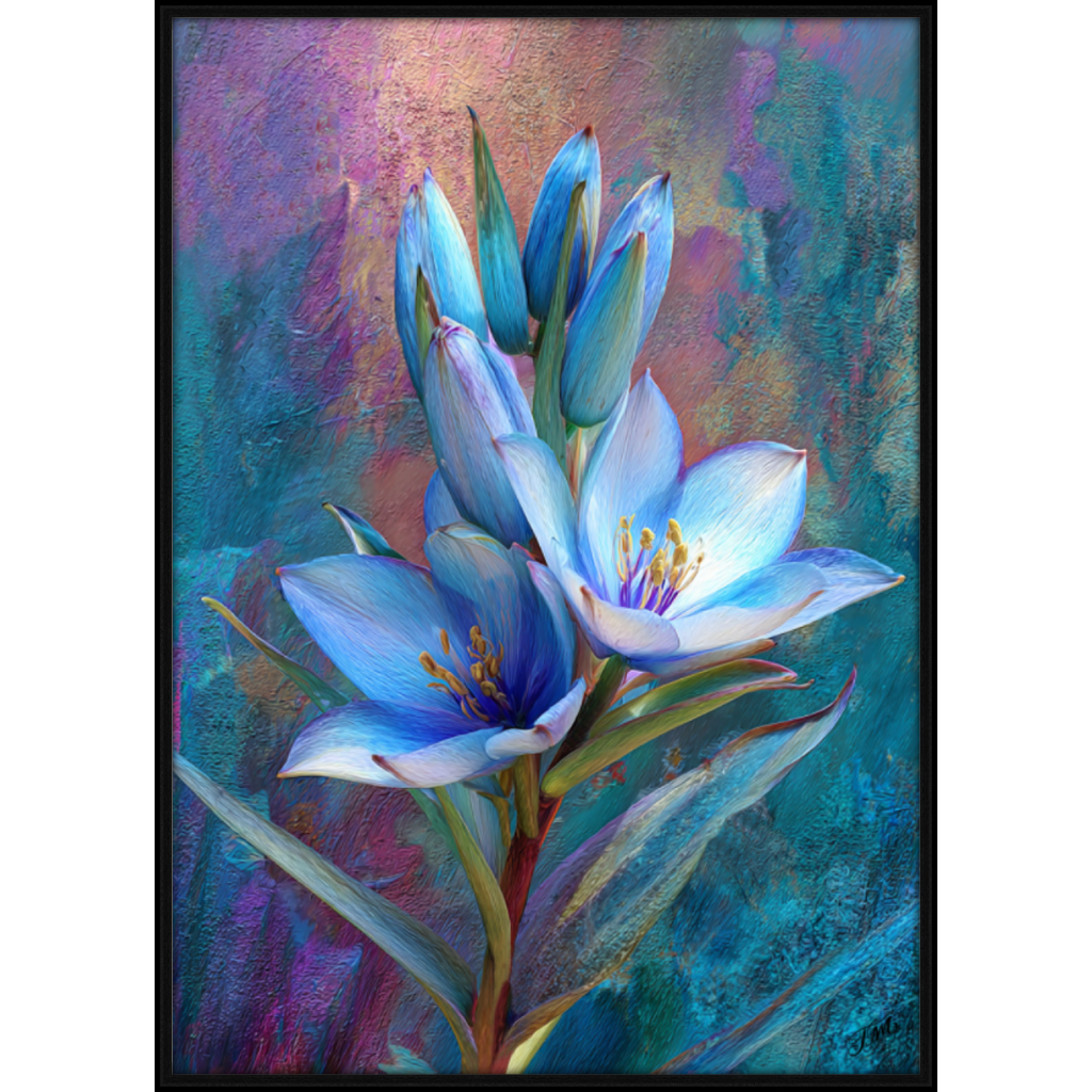 Blue Puya A3 Black Grain Float Frame 108FO.png