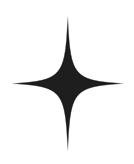 A black star-shaped design with four elongated points on a white background.