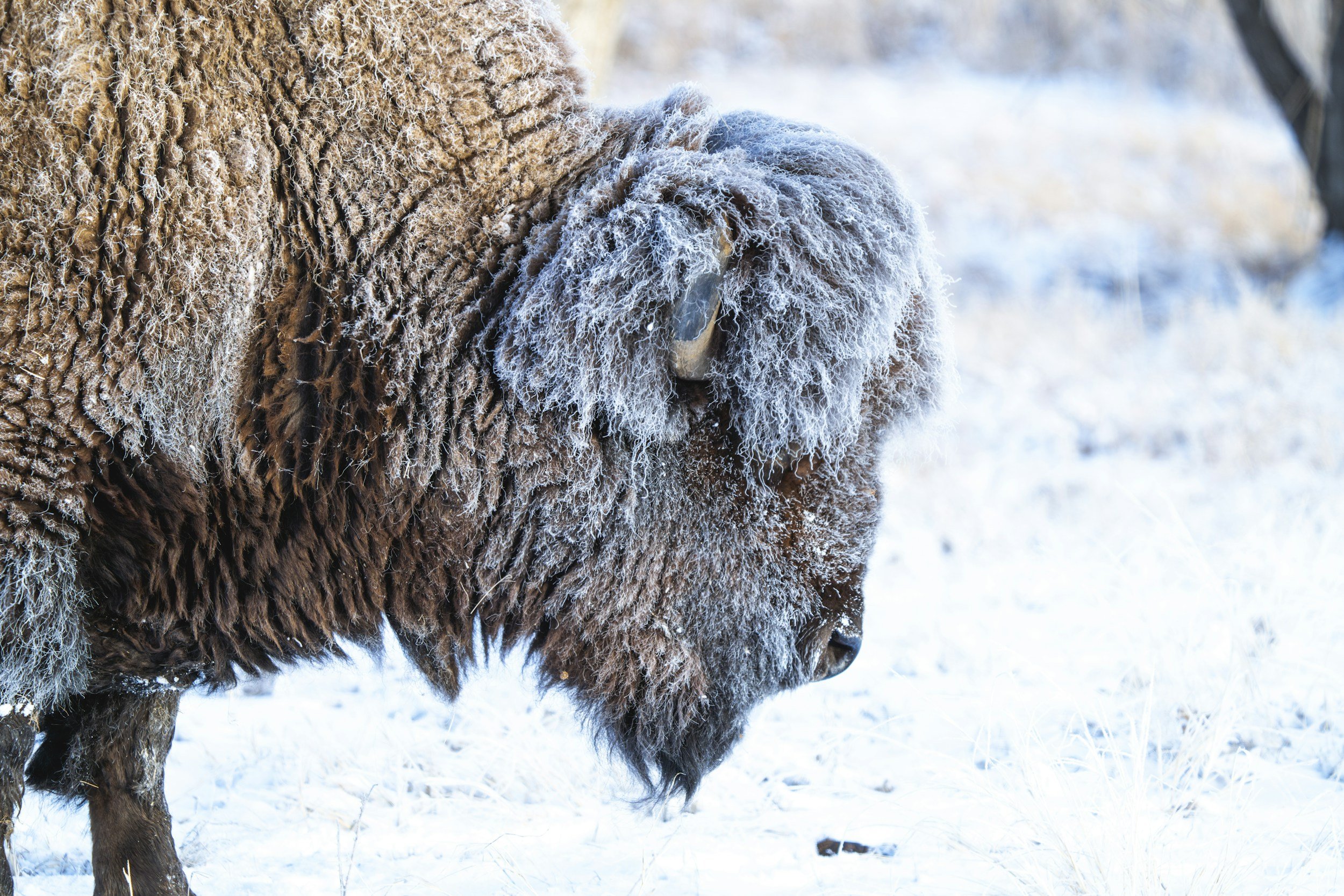 Winter in Wyoming: How Seasonal Changes Can Affect Anxiety and Depression