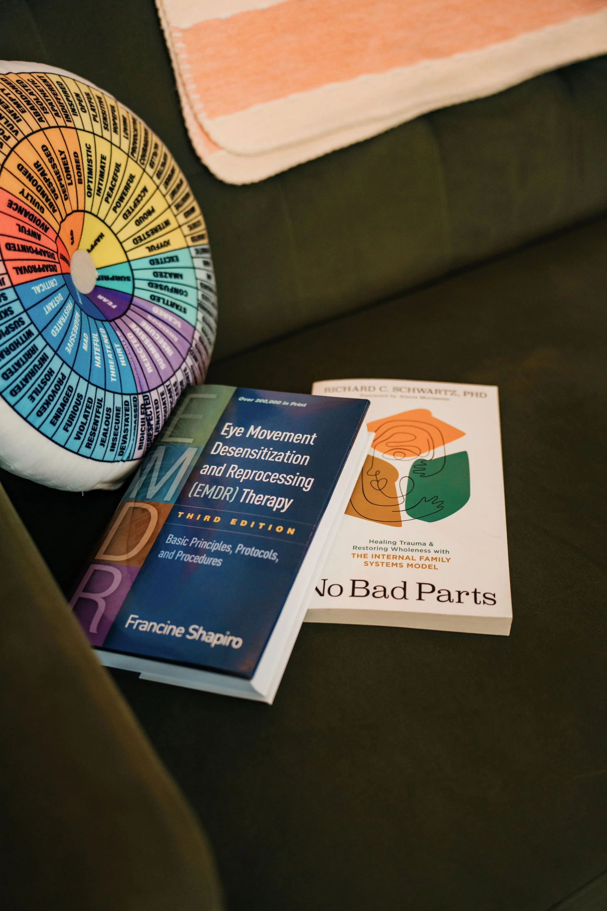 Books on therapy and trauma resting on a couch.