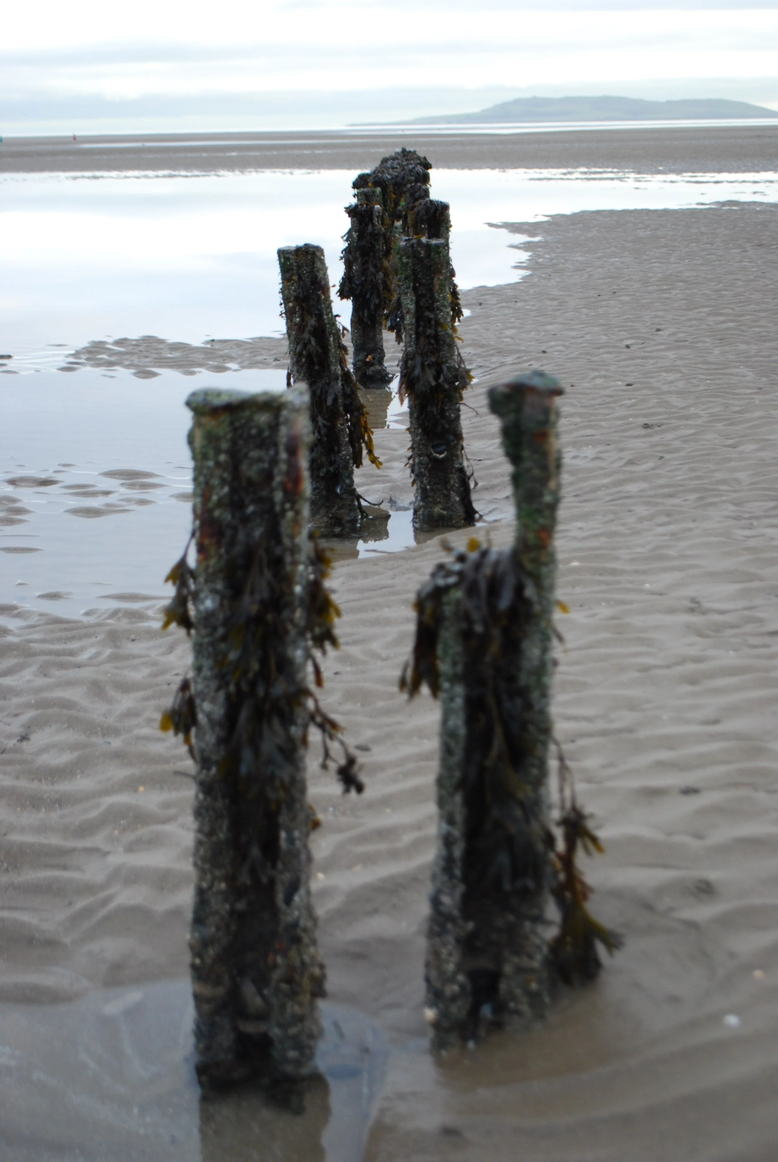 Malahide Beach, November (2022)