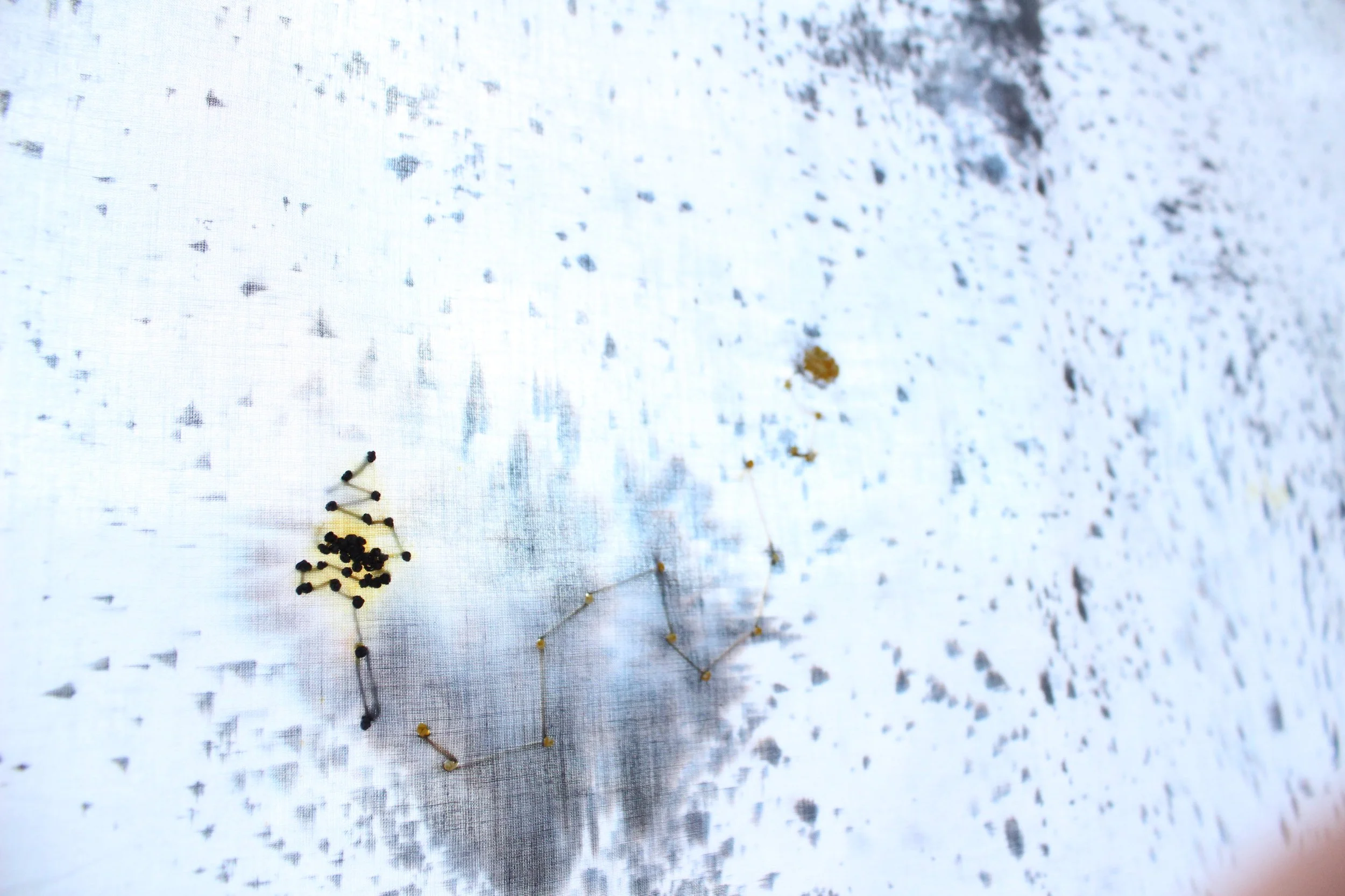 (un)intentional 2 detail