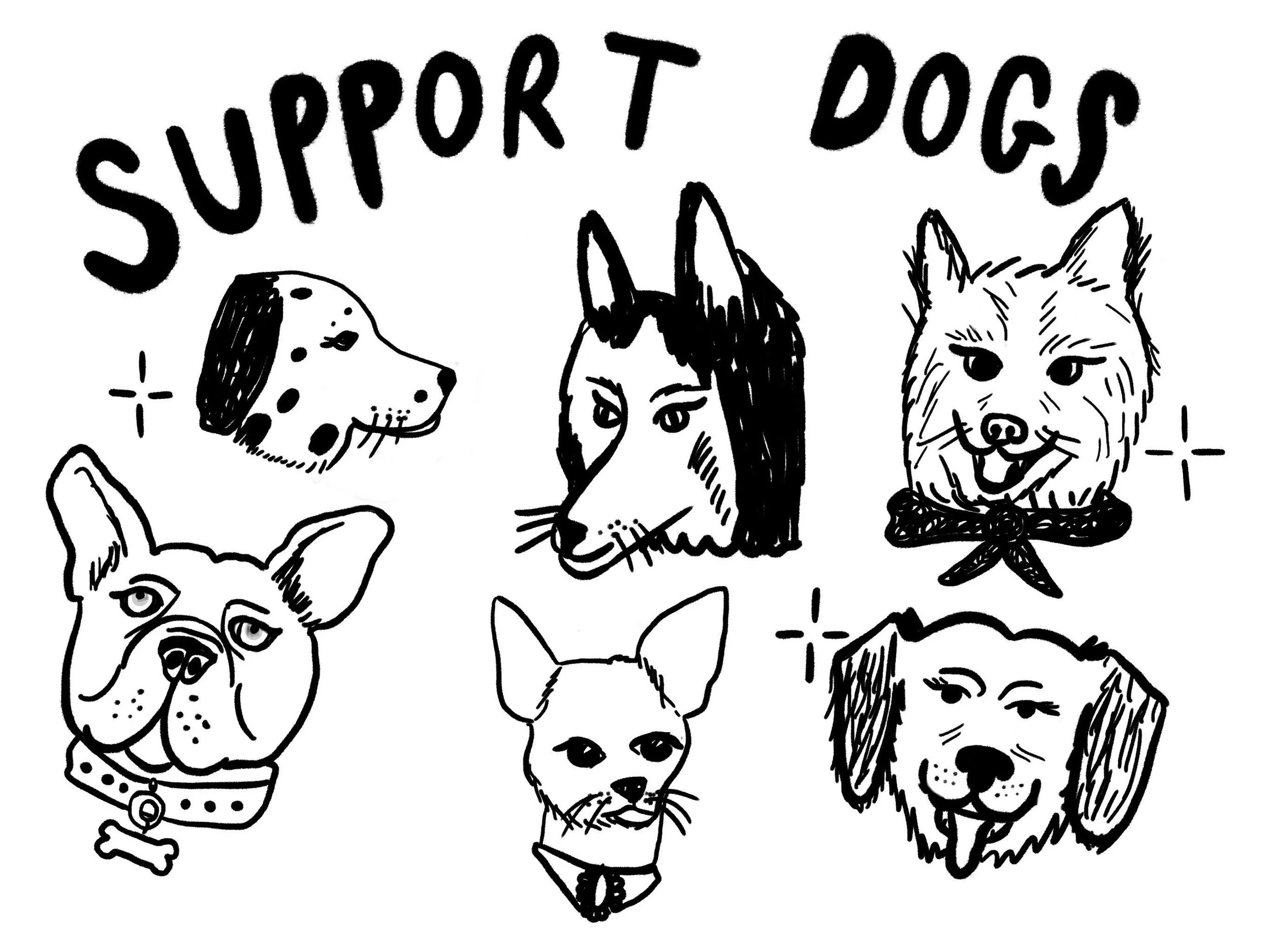 Support Dogs.jpg
