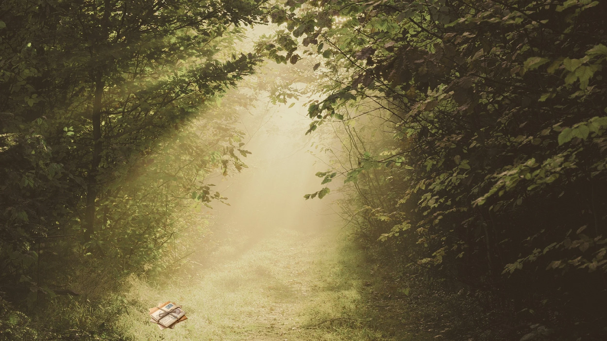 LETTERS FROM THE FOREST