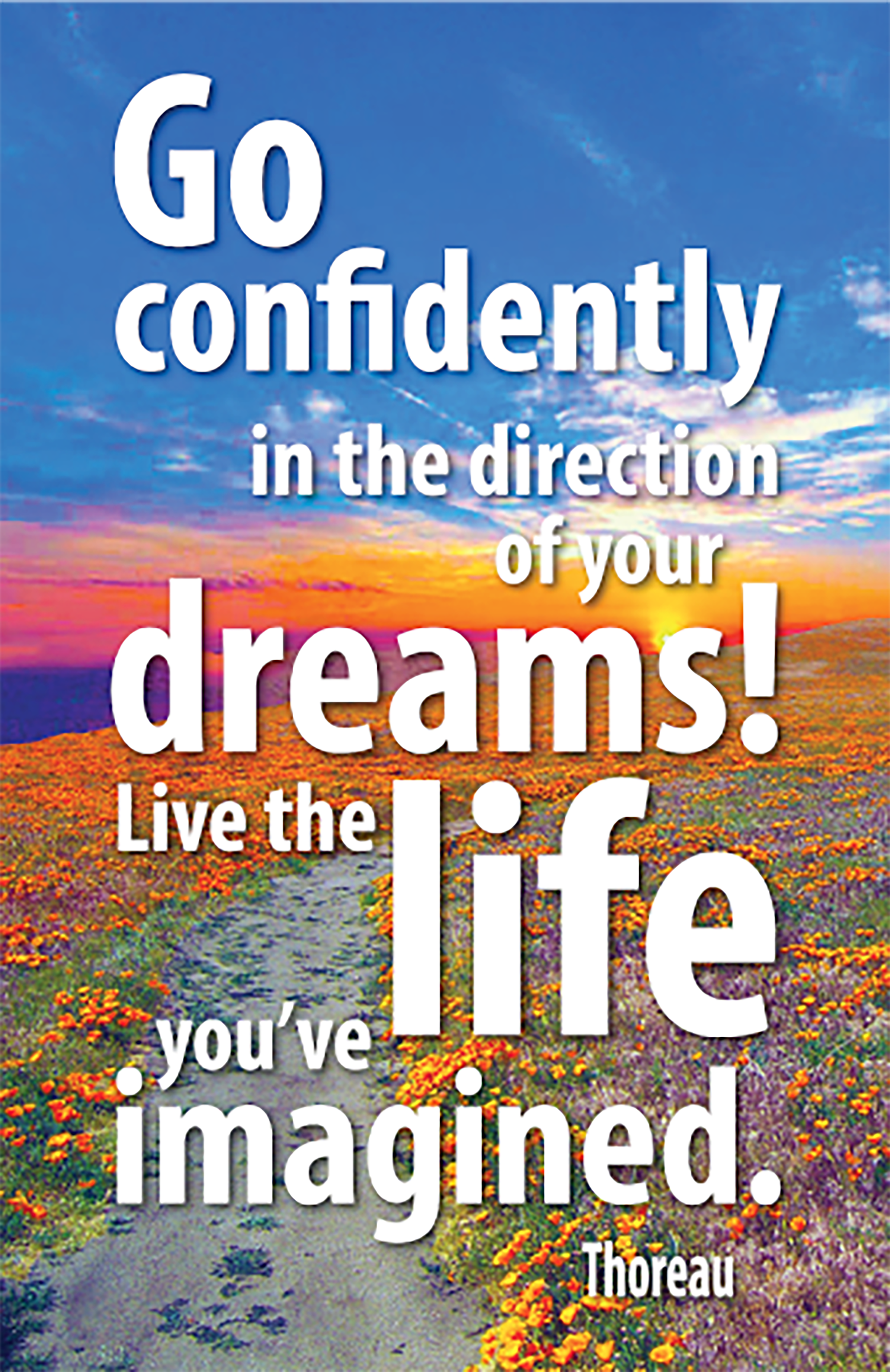 The Imagined Life Frequency