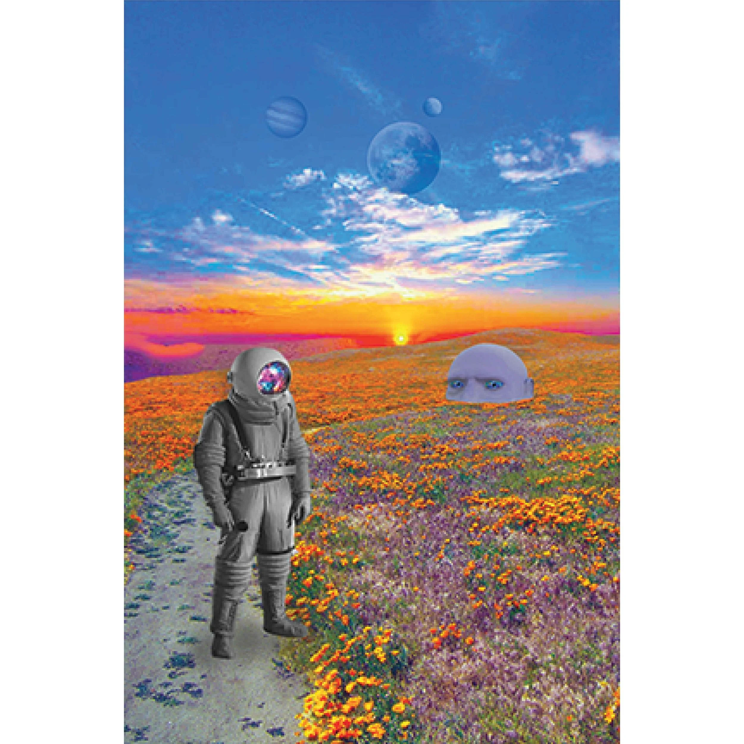 The Gardener of Echoes