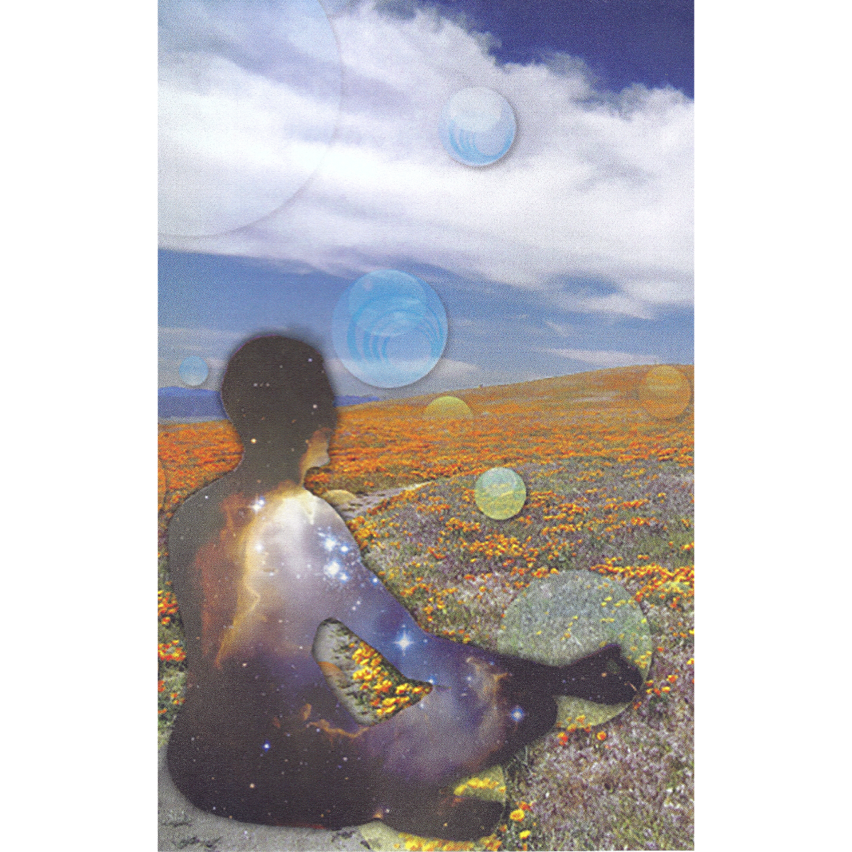 Cosmic Contemplation