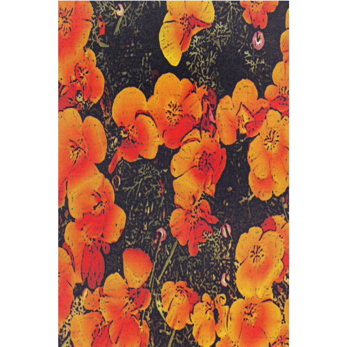 Vintage Poppy Meadow