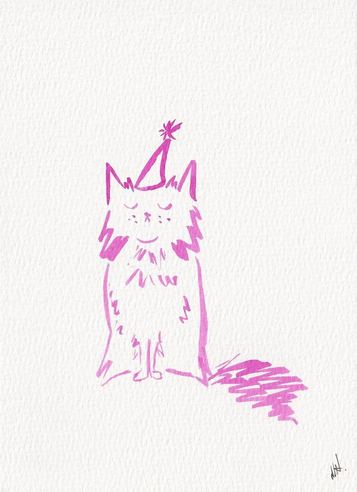 Party Hat Fluffy Cat