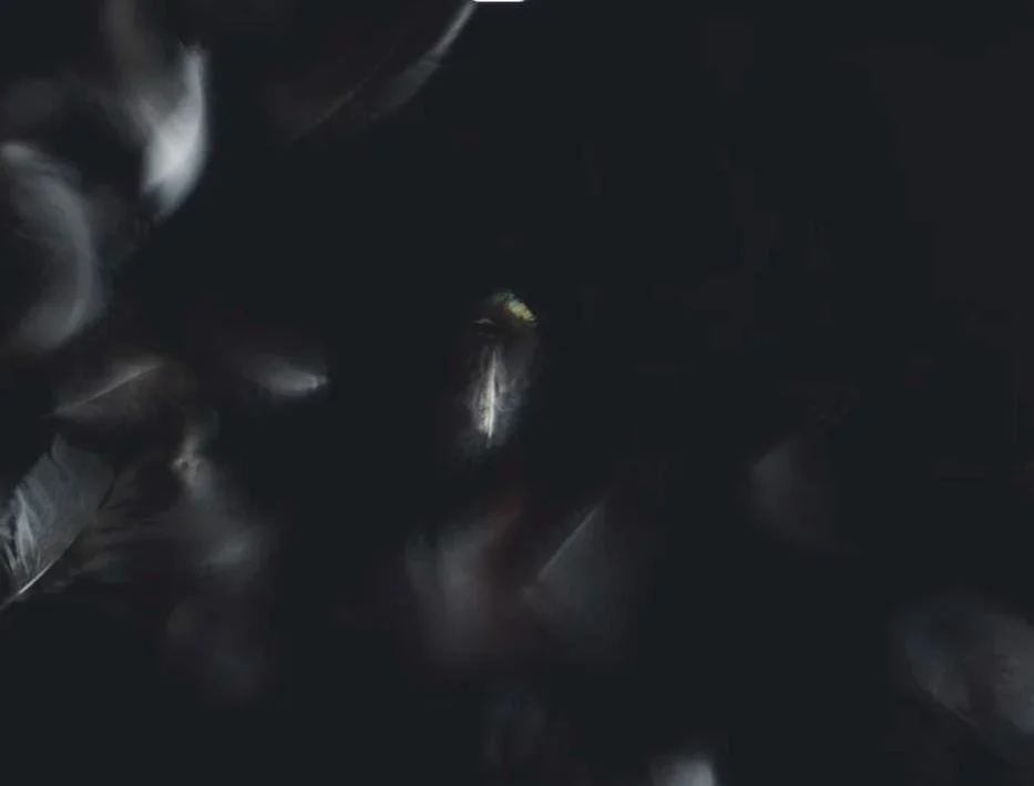 Photo sombre montrant des objets métalliques, peut-être des pièces ou des outils, dans un environnement obscur.