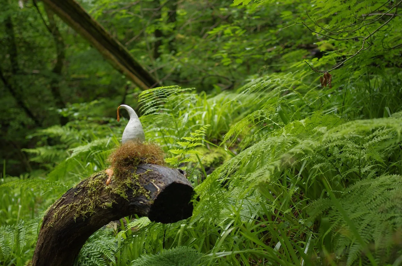 A white bird-like pot sculpture with is perched on a mossy log in a lush green forest with ferns and dense foliage.
