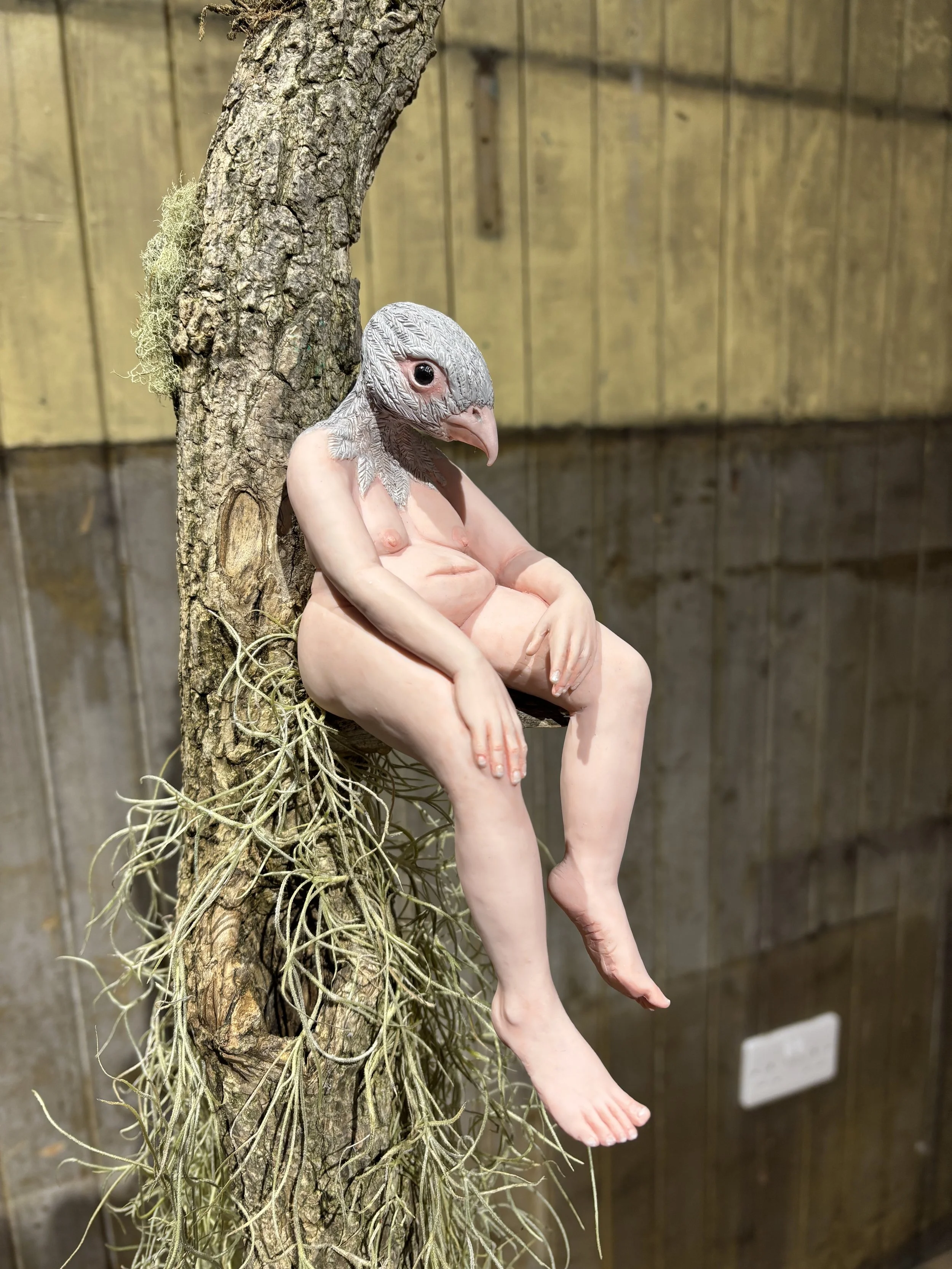 A creature with a bird's head and a naked human body sitting on a tree branch, with a wooden fence in the background.