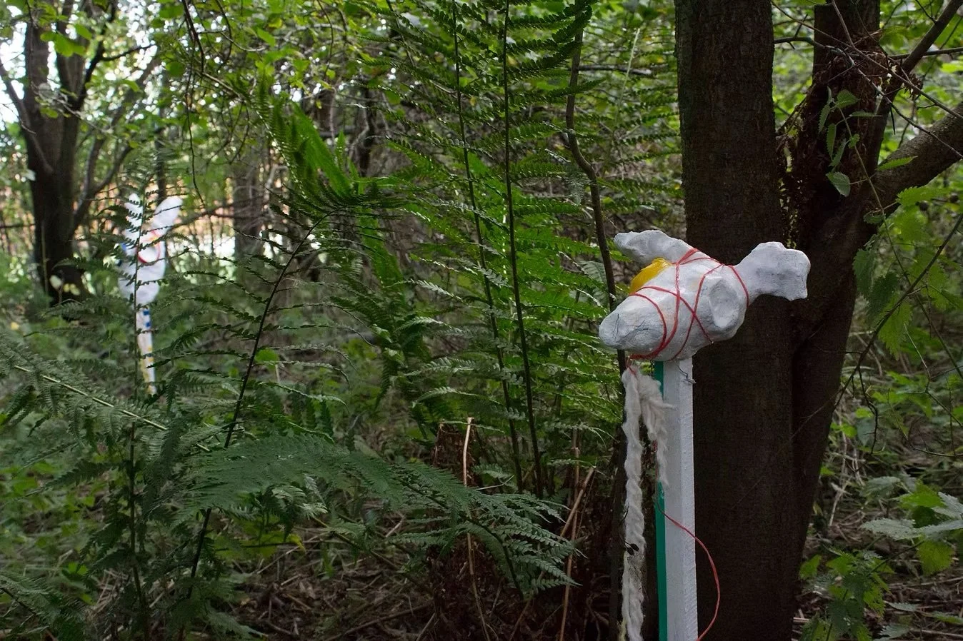 White sculpture on animal-like head mounted on a stick and tied to a tree in a dense forest.