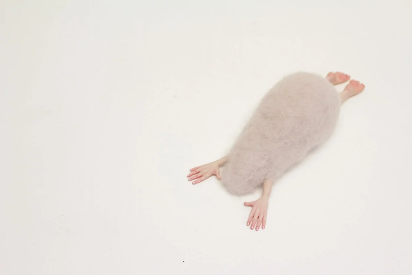 A surreal image of a creature with the body of a pink, fluffy, oval-shaped animal and human arms and feet, on a plain white background.