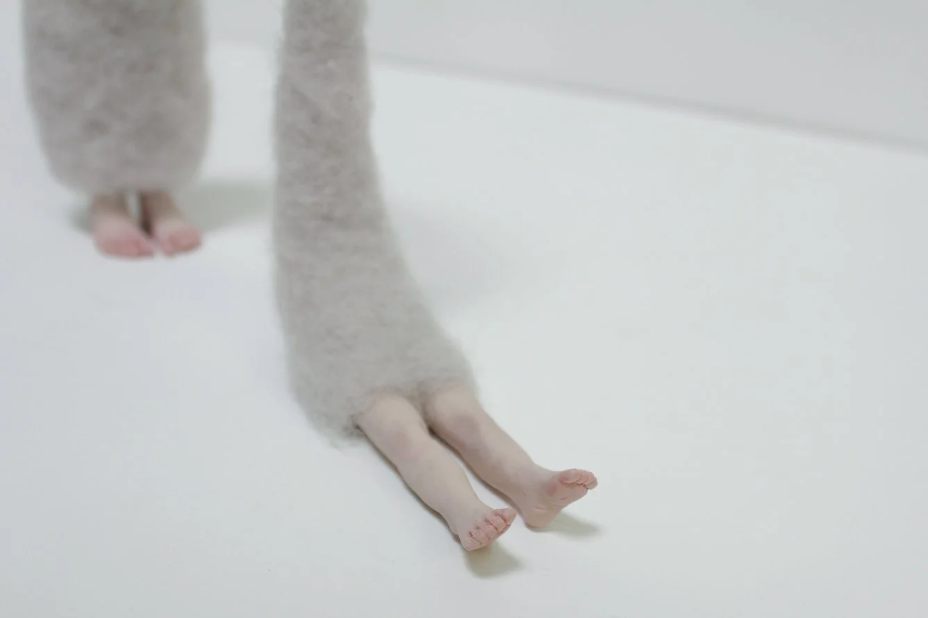 Close-up of a small  legs with fluffy fur on a white surface.