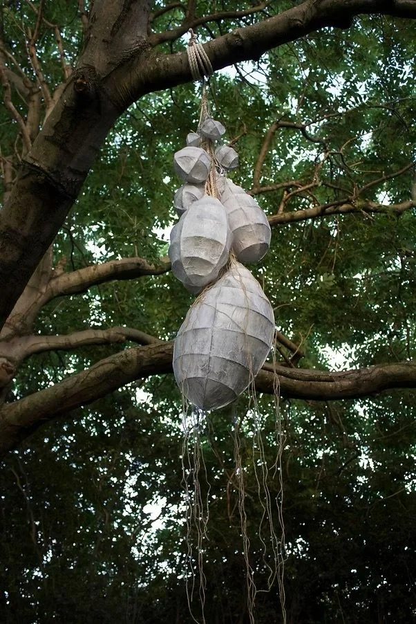 Cluster of paper lanterns hanging from a tree branch.