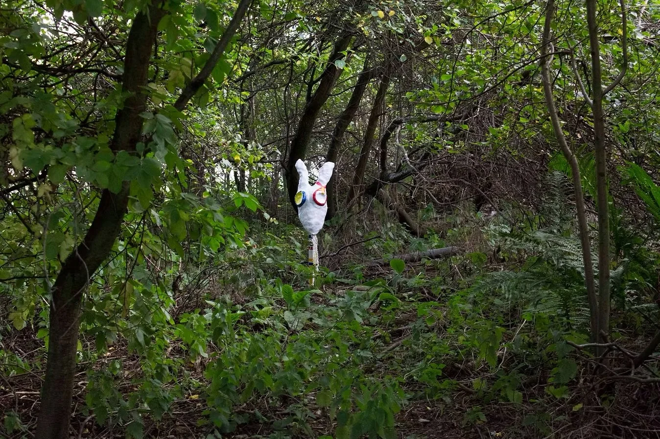 A whimsical, rabbit-shaped sculpture wearing colorful goggles in a dense, green forest.