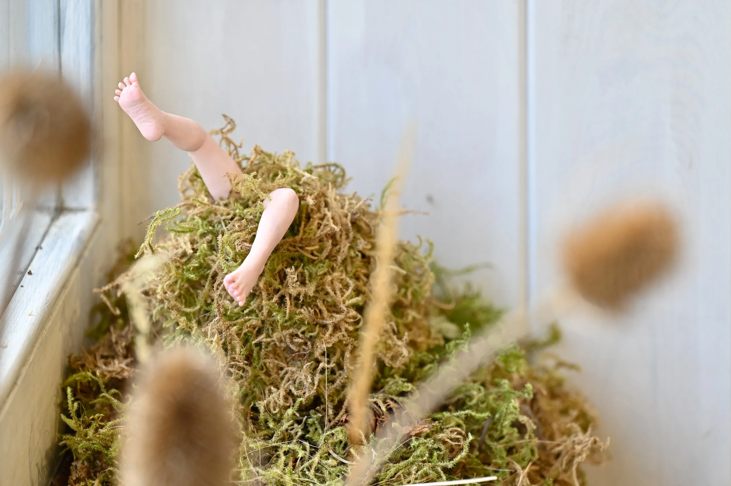 A small, nude doll's legs and feet sticking out of a pile of moss or dried plants, with some blurred plant stems in the foreground.