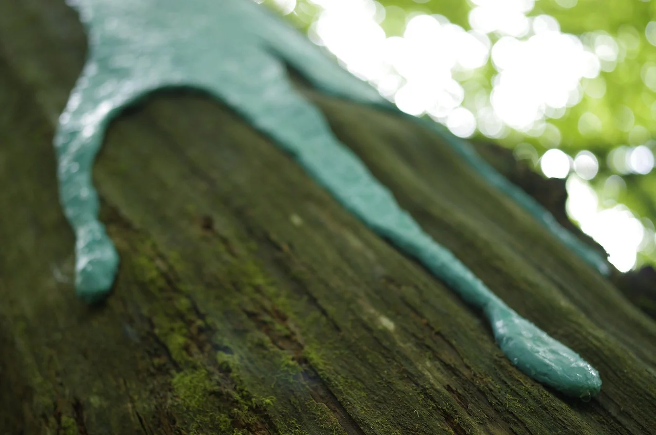 Close-up of a weathered blue-green drip-like form attached to a mossy wooden surface, with blurred foliage and sunlight in the background.
