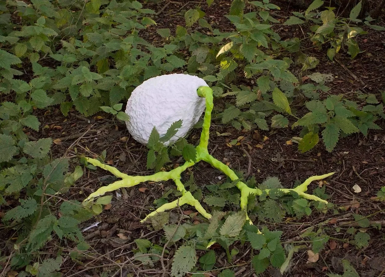 A large white, textured, spherical fungus growing among green leaves on the ground, with some yellowish-green vine-like branches extending from it.
