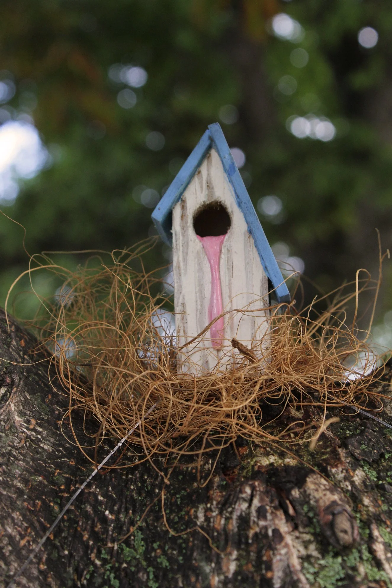 A small decorative birdhouse with a pink painted drip on the front, sitting on a tree branch surrounded by dried twigs, with a green blurred background.