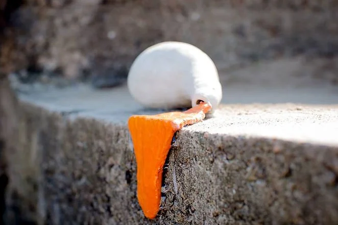 A white egg shell with an orange form emerging from it, placed on a concrete ledge.