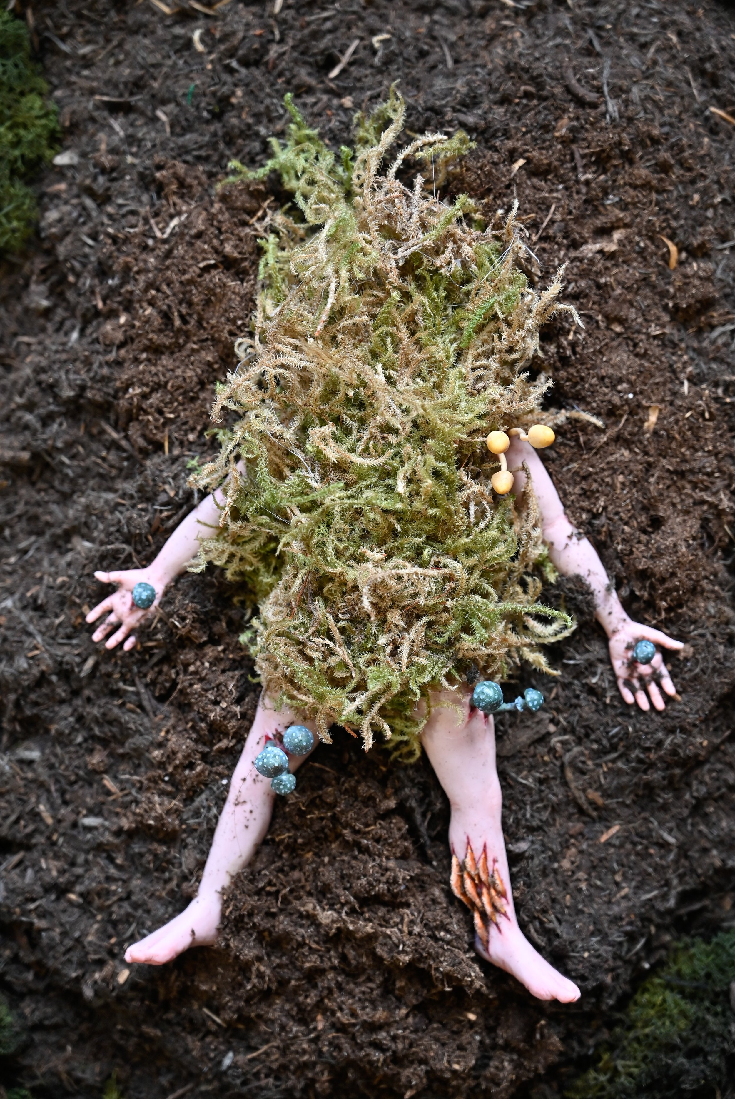A small doll lying on dirt, partially covered by a moss, with polymer clay sculpted arms and legs extending outward, and decorated with blue and orange fungi