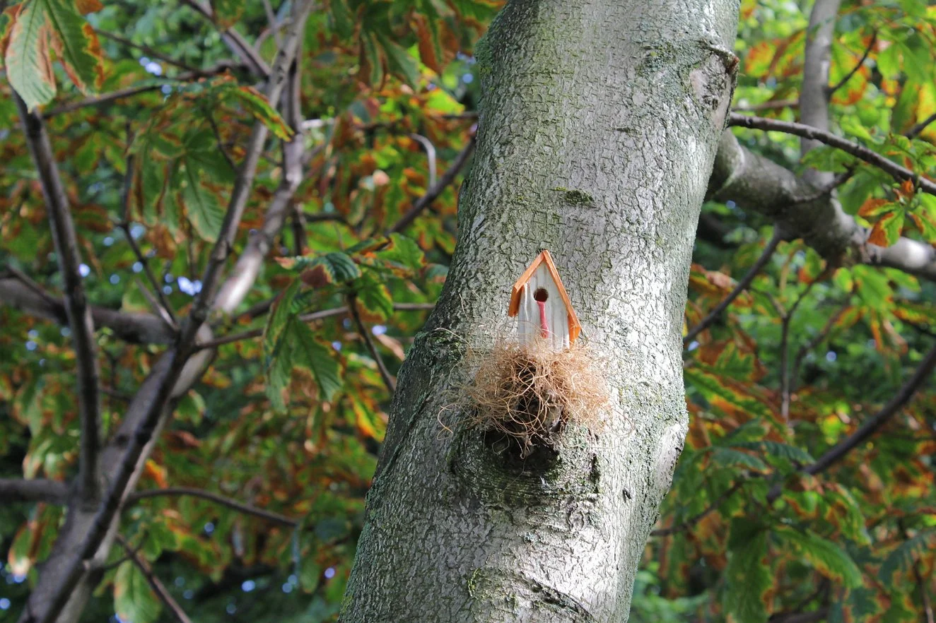 A birdhouse attached to the trunk of a tree with green and orange leaves in the background.
