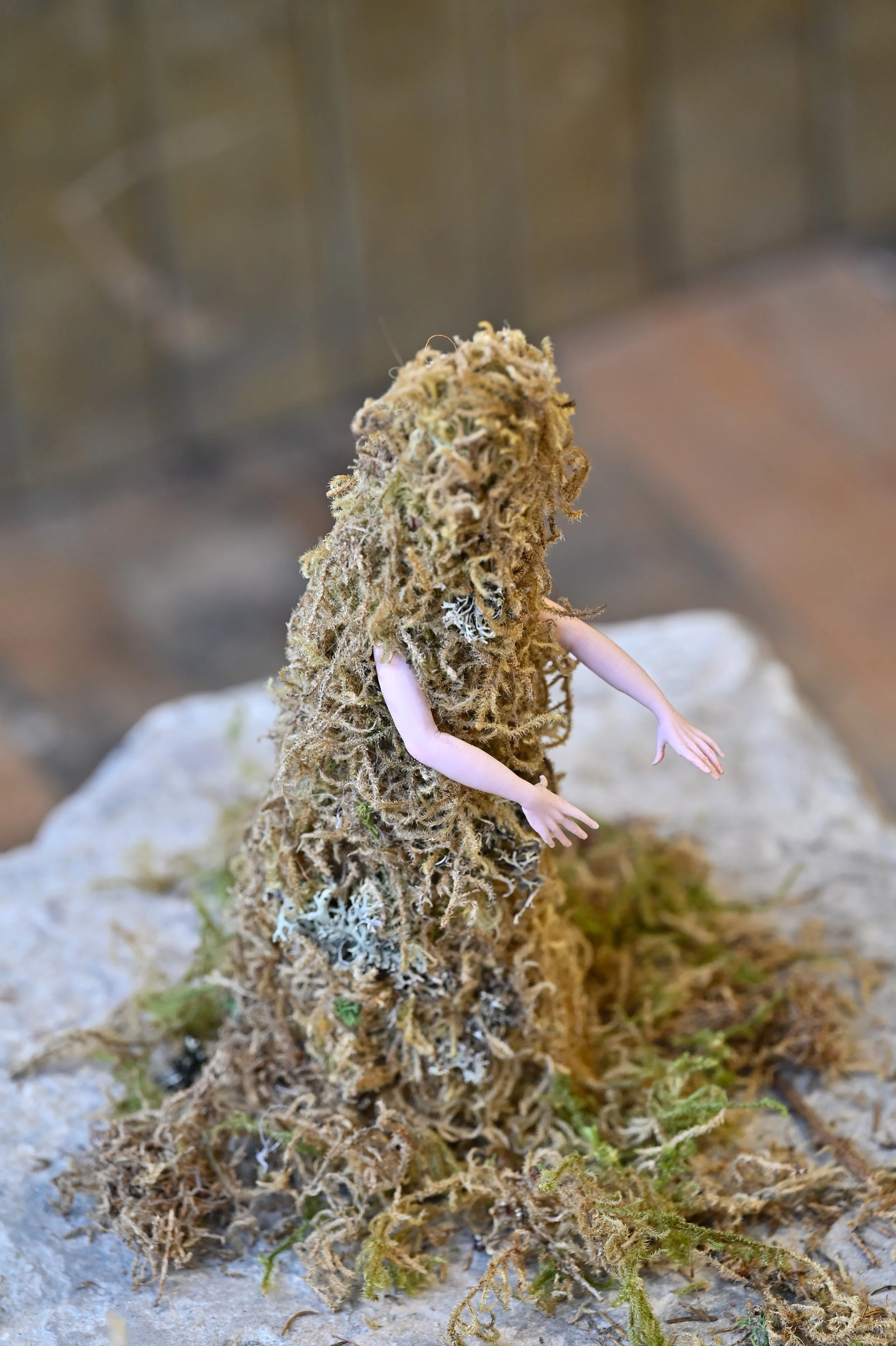 A small plant covered in dense moss and lichen with tiny, pink toy arms attached, positioned on a rock with blurred background.