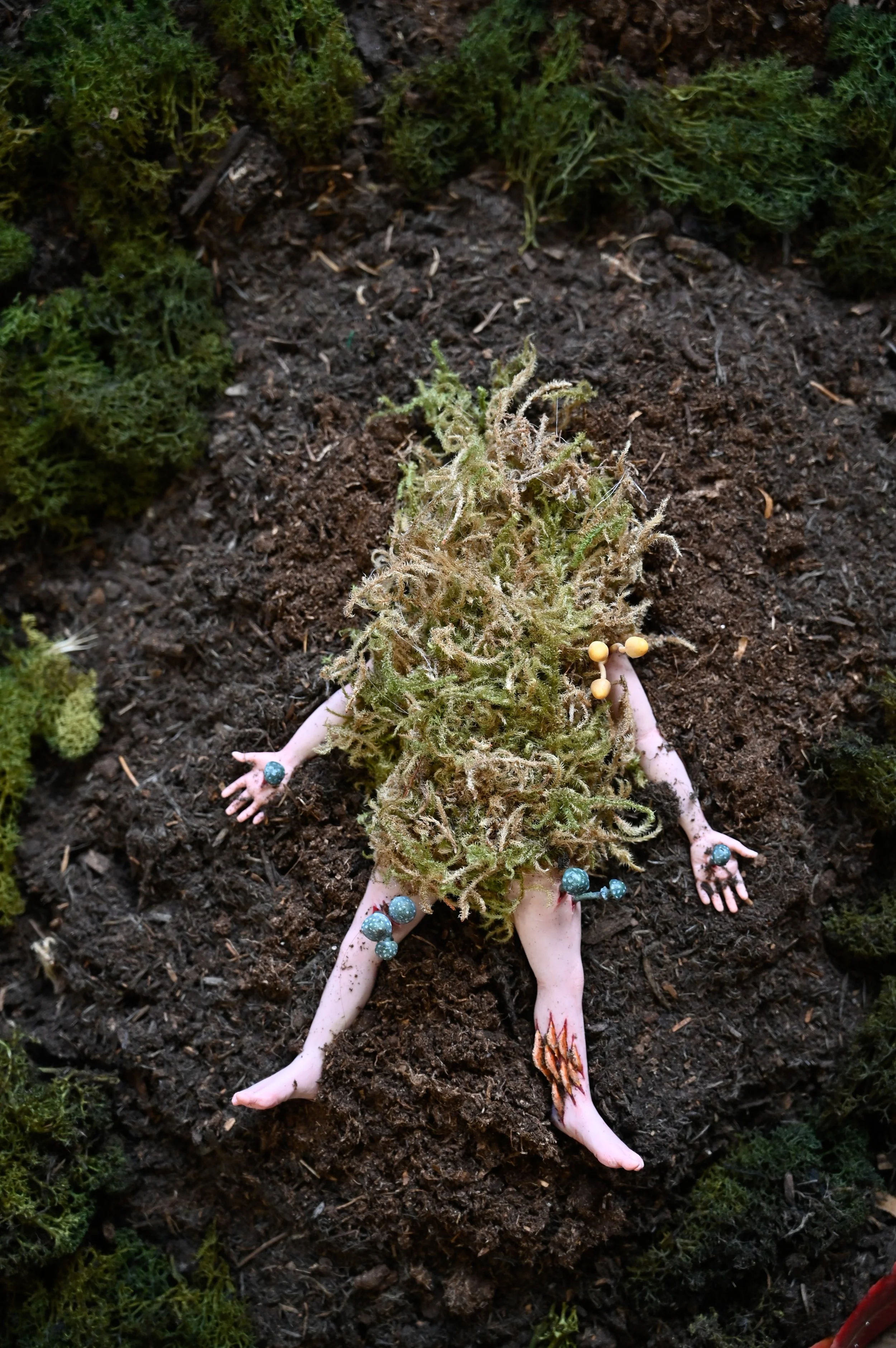 A doll's body lying on soil, covered with moss and polymer clay sculptured fungi emerging from it's limbs