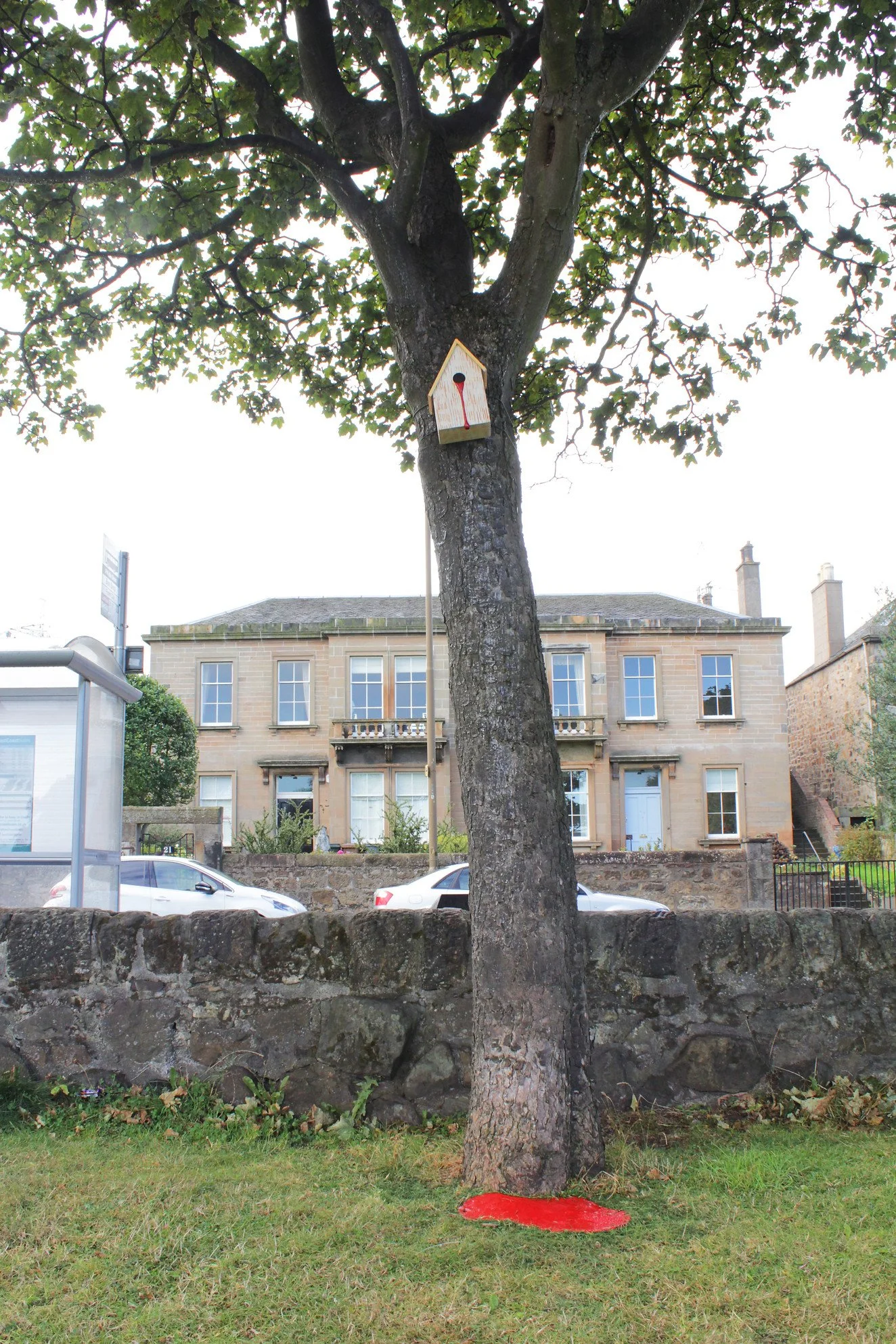 A tree with a birdhouse attached to its trunk, situated in front of a stone building in an outdoor setting. There are cars parked behind a stone wall and a bus stop to the left.