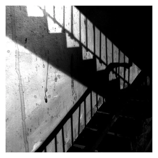 Black and white photo of a staircase with shadows cast by the railing on the wall.