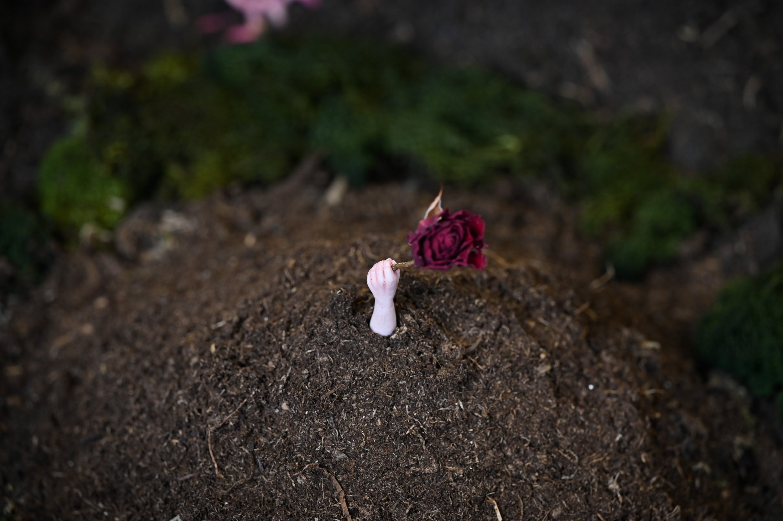 A small hand sculpture emerging from the soil, holding a wilted red rose.