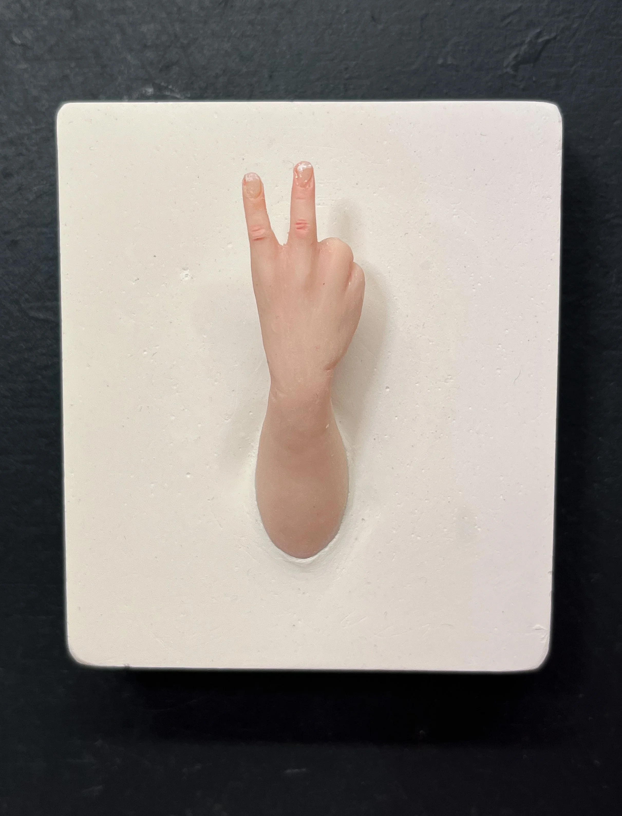 Flipping the V - Available Now