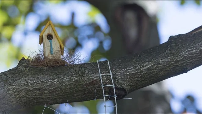 A small birdhouse with a yellow roof and a blue teardrop decoration hanging in a tree, with a metal ladder leaning against the branch.