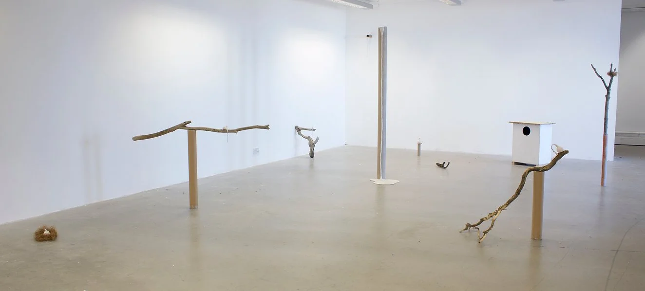 Installation art featuring driftwood branches on wooden supports, a small white house-shaped structure with a circular opening, a vertical wooden pole, and a tree branch with a small object on it, all in a white-walled gallery space.