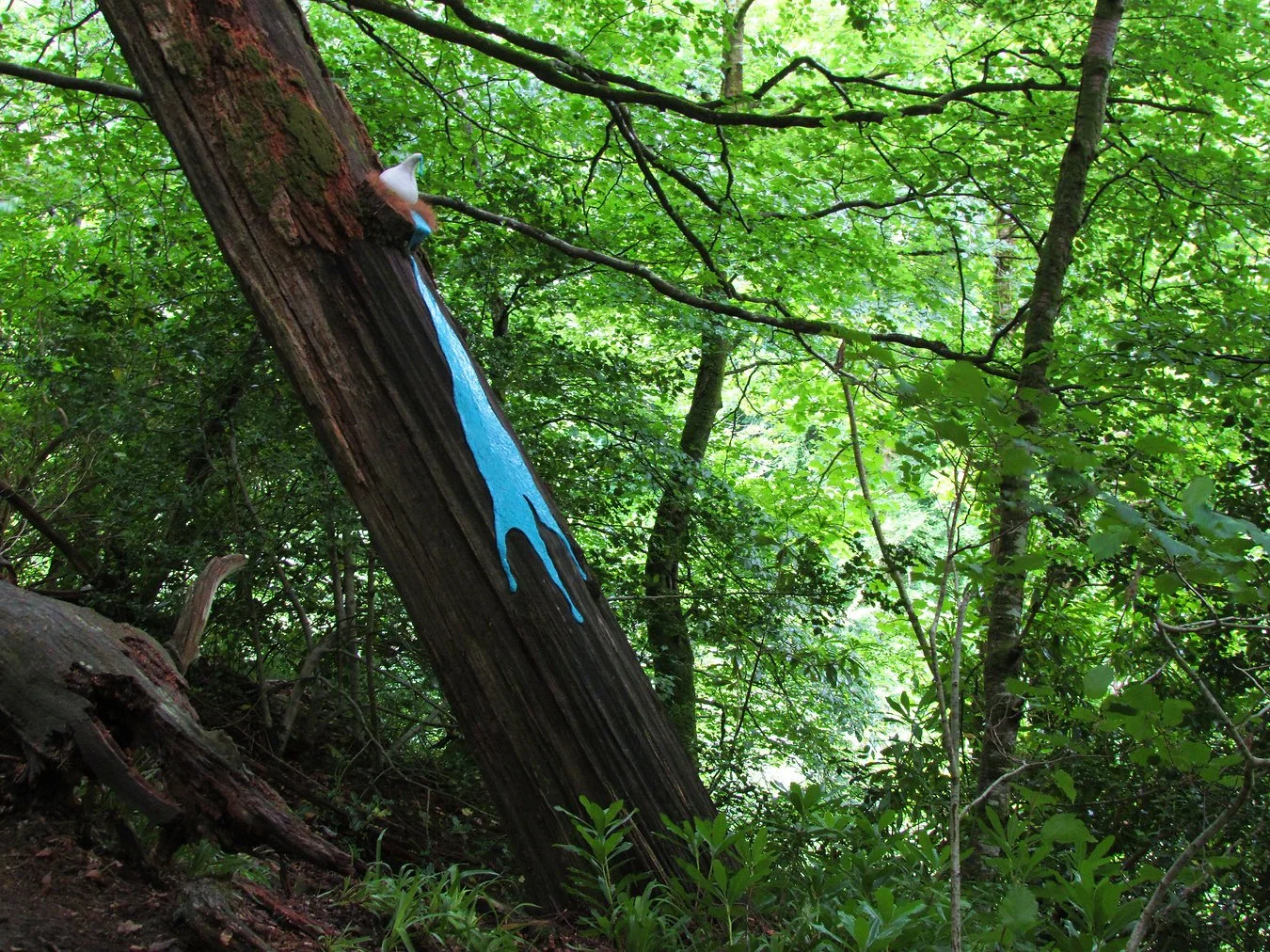 A forest scene with dense green foliage. perched in a fallen tree is a white ceramic bird-like pot, with the blue coming out to form a dripping pattern.