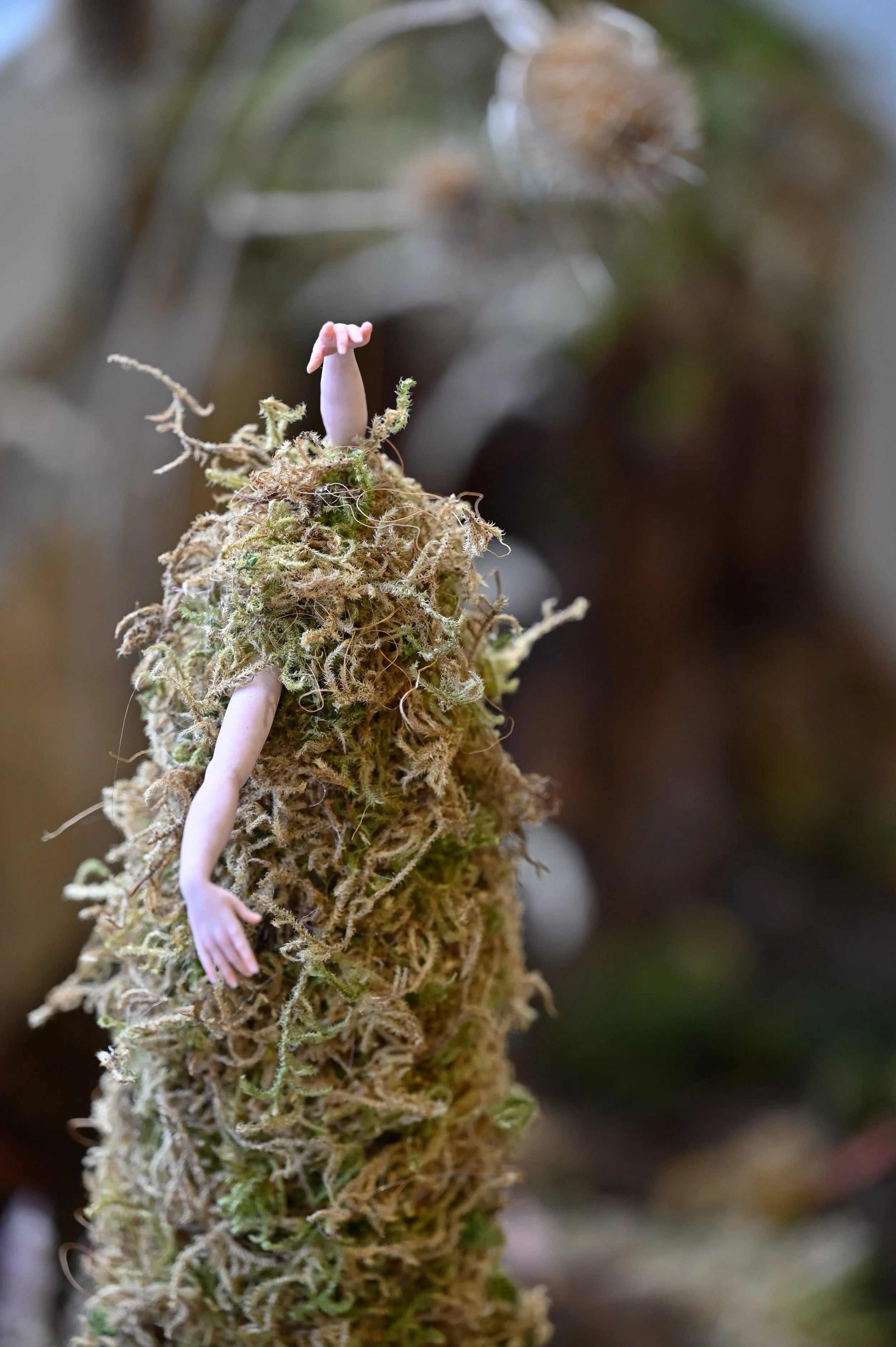 Close-up of a moss mound with a small, pink polymer clay arm attached to it.