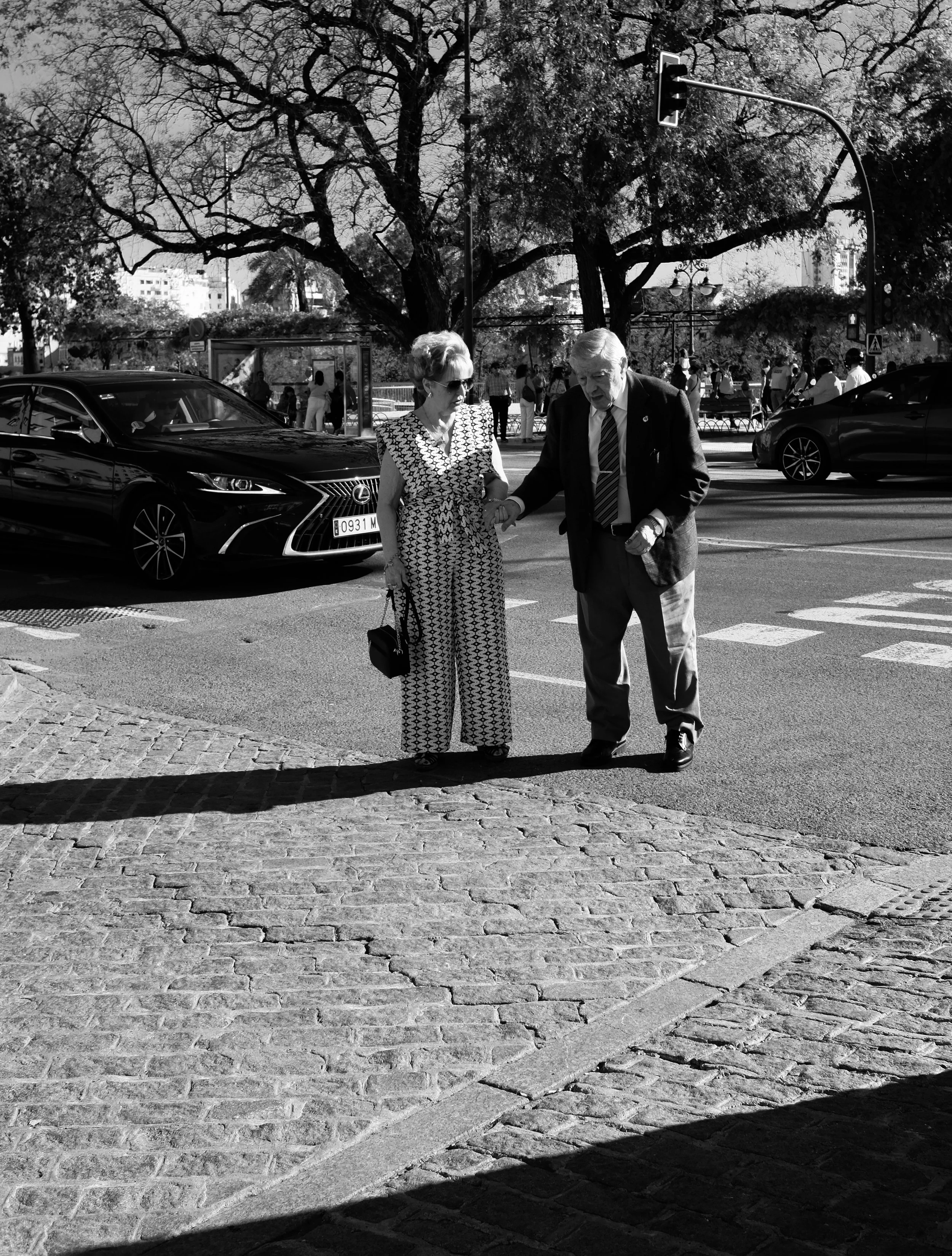 Bullfight Generation #1.jpg