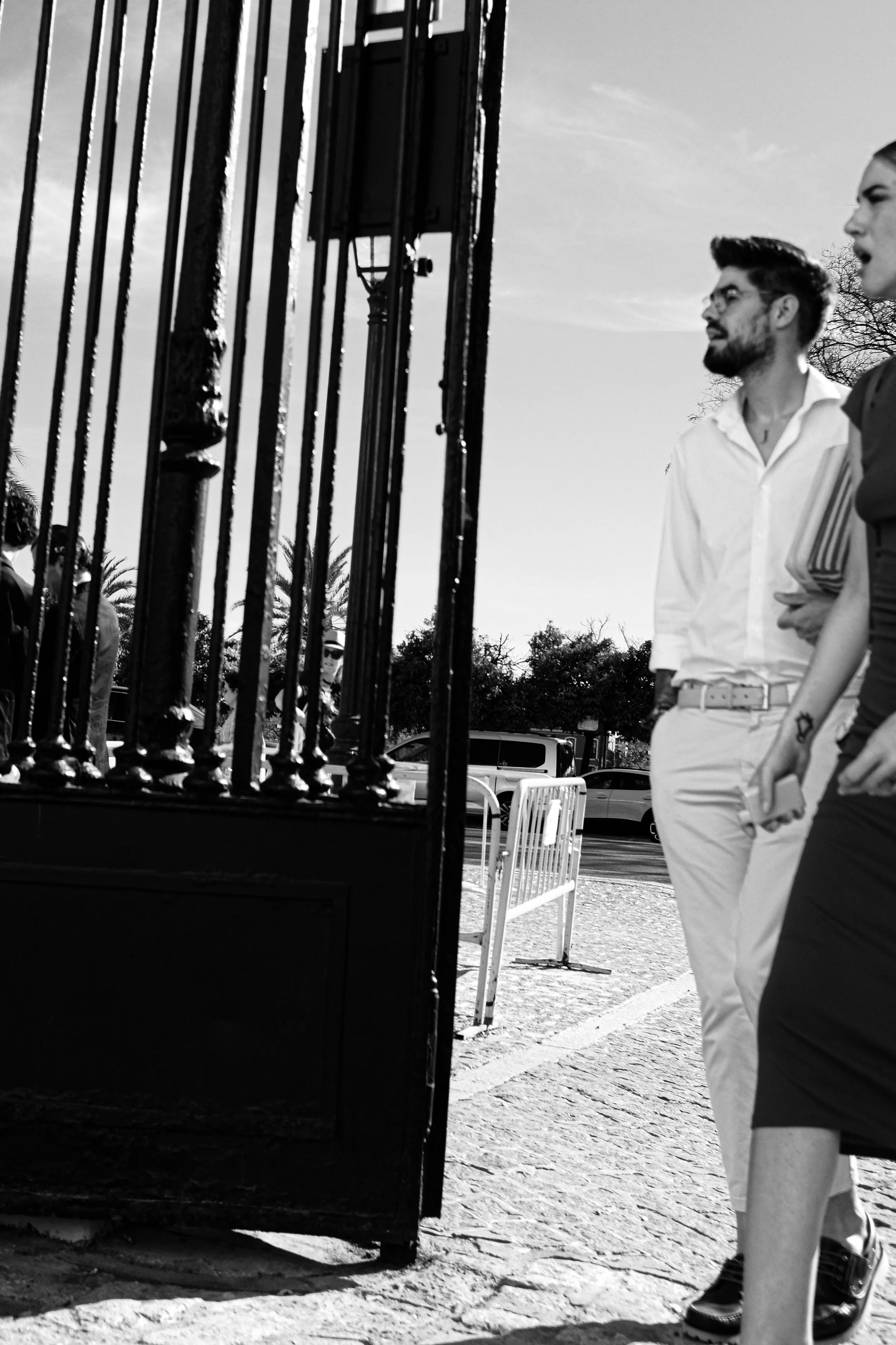 Bullfight Generation #2.jpg