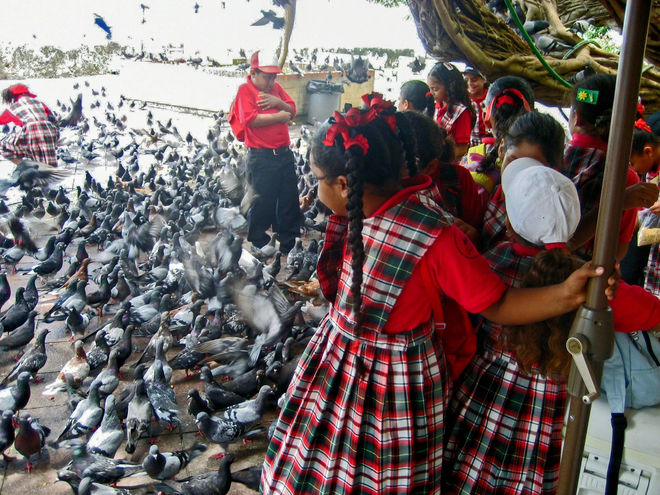 Abrir por aqui-3.jpg