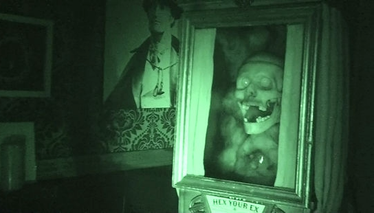 Curioporium&nbsp; Potential Evidence