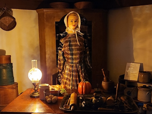 The Paine House Museum